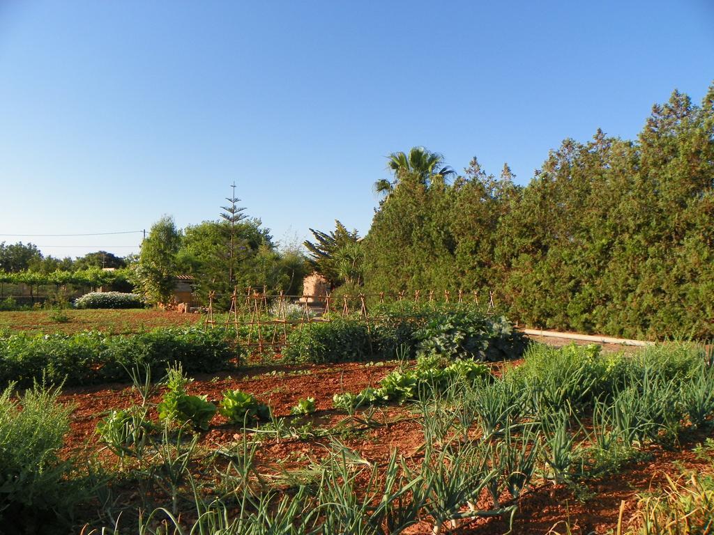 Agroturisme Can Bessol S'Horta Buitenkant foto