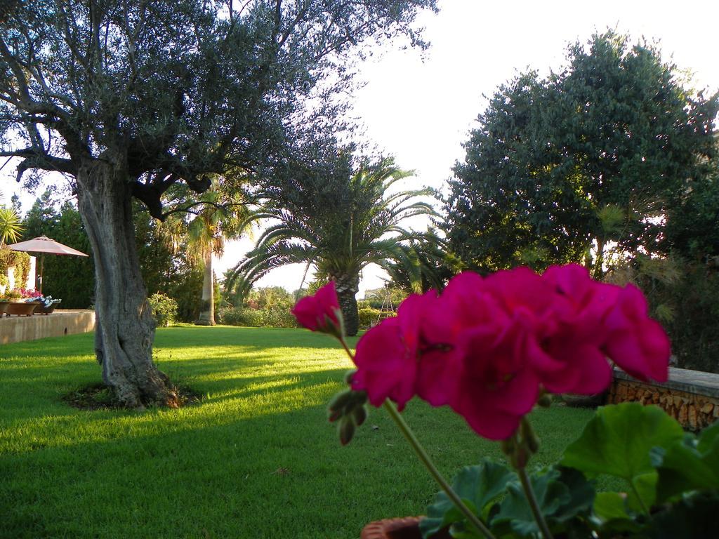 Agroturisme Can Bessol S'Horta Buitenkant foto