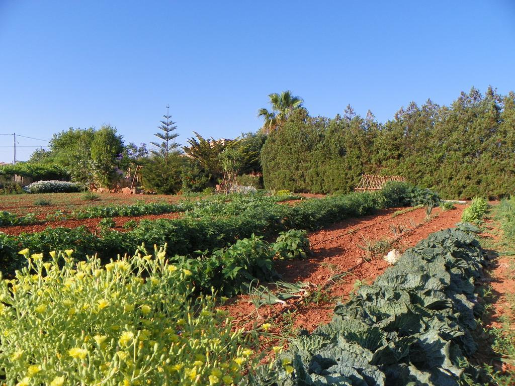 Agroturisme Can Bessol S'Horta Buitenkant foto